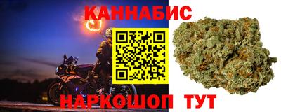 прущие крисы Гатчина