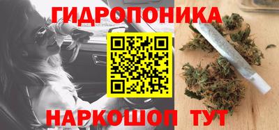 гашиш Гусиноозёрск
