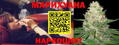 прущие крисы Гатчина